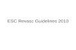 Esc revasc guidelines 2010f