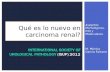 Carcinoma renal lo nuevo: recomendaciones ISUP 2012.