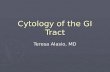 Cytology of the gi tract