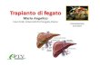 Indicazioni e controindicazioni al trapianto di fegato - Prof. M. Angelico