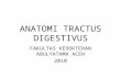 Bhn anatomi tractus digestivus 2010 unaya