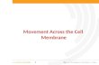 Movement across cell membrane 2014