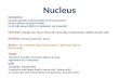 Nucleus & Epithelium - Histology