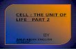 Cell The Unit of Life- 2