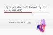 Hypoplastic Left Heart Syndrome.ppt