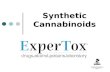 Synthetic Cannabinoids 120710 Presentation