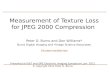 Texture Loss for JPEG 2000 Compression
