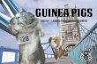 Guinea Pigs GEG310