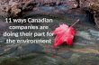 11 ways Canadian companies are doing their part for the environment