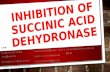 Inhibition of succinic acid dehydronase