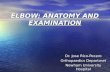 Elbow Anatomy And Examination