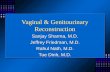 Vaginal & genitourinary reconstruction