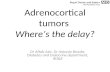Adrenocortical tumours