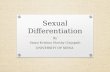 Sexual Differentiation (Learn easy way)