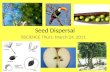 Seed dispersal