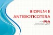 Biofilm e antibioticoterapia