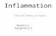 Role of Inflammation, Genetics, Epigenetics, and Stem Cells in Tumorigenesis