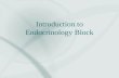 Introduction to Endocrinology Block Endocrinology