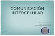 ComunicacióN Intercelular 29 Mayo