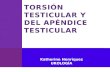 Torsion testicular