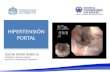 Hipertensión portal Fisiopatologia