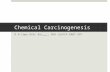 Nicnas carcinogenesis8copy