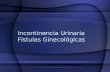 Incontinencia urinaria fístulas ginecológicas