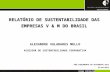 Alexandre Valadares Mello - V&M do Brasil - Relatórios de Sustentabilidade