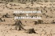 Desmatamento e desertificação - Medidas de proteção ambiental.
