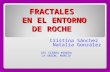 Trabajo Investigación Fractales en el entorno de Roche