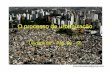 Geografia   A UrbanizaçãO Do Brasil