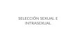 SELECCION SEXUAL E INTRASEXUAL (2)