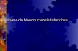 Síndrome de Mononucleosis Infecciosa