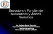 Procesos Biologicos - 07 - Acidos Nucleicos.09.04.09
