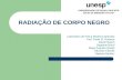 Seminário Radiacao de Corpo Negro - Turma B, V Fisica Medica -Unesp (2009)
