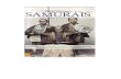 Breve Historia de Los Samurais-Carol Gaskin&Vince Hawkins