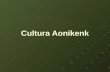 Cultura Aonikenk