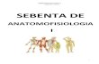 AnatomoFisiologia_ Sistema esqueletico, muscular e nervoso