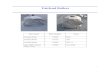 Corrosion Protective Covers for U.S. Navy Deck Equipment