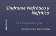 Sindrome Nefrotico y Nefritico