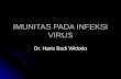 Imunitas Pada Infeksi Virus