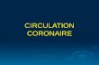 5 Circulation Coronaire