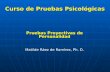 Pruebas Proyectivas 2010-2