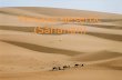 Peisajul desertic (Saharian)