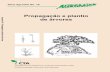 Agrodok-19-Propagação e plantio de árvores