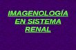 Imagenologia Elemental Renal