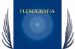 Introduccion Flexografia