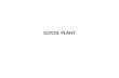 Glycol Plant