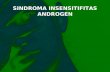 Sindroma as Androgen