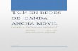 Anlisis de TCP en Redes de Banda Ancha Movil